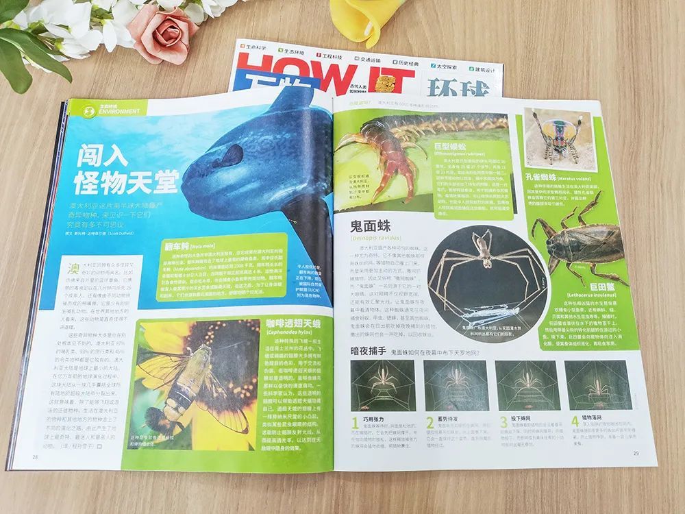 2023年最值得订阅的少儿杂志！科普, 人文 , 启蒙都全有，5 ...23 / 作者:123457909 / 帖子ID:101704