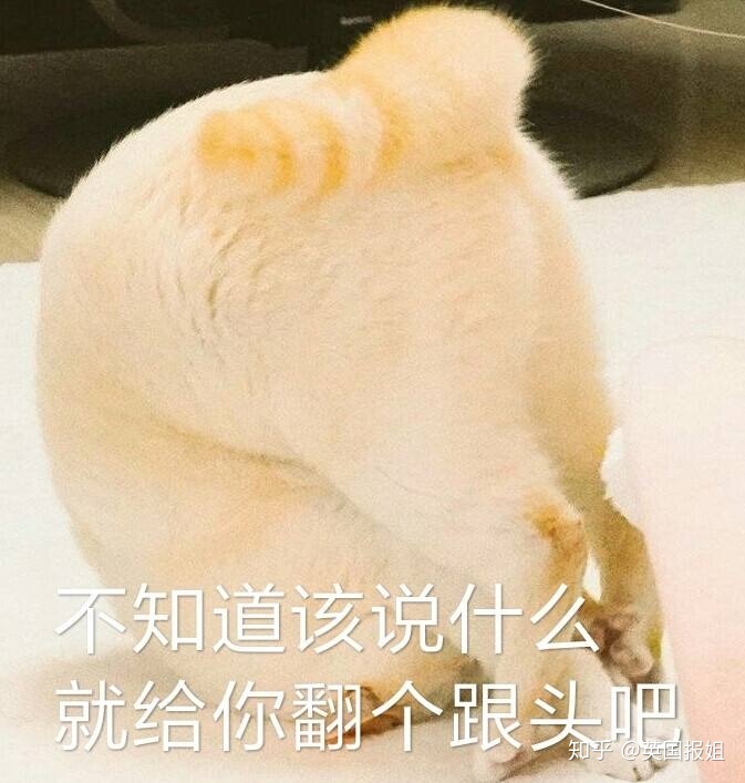 地球是圆的还是平的？2020年了，外国网友还为这事吵翻天 ...528 / 作者:喜欢头像那女纸 / 帖子ID:101782