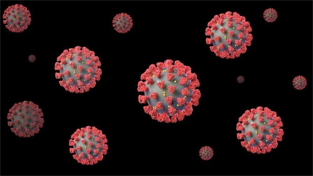 治疗新冠病毒的新答案：量子生物学539 / 作者:日啊驴吗厩 / 帖子ID:101832