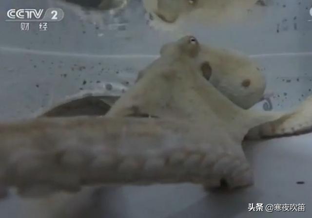 40个科学常识，你一定会喜欢59 / 作者:陈国帆spp / 帖子ID:101928