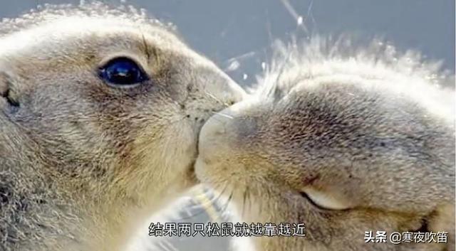 40个科学常识，你一定会喜欢58 / 作者:陈国帆spp / 帖子ID:101928