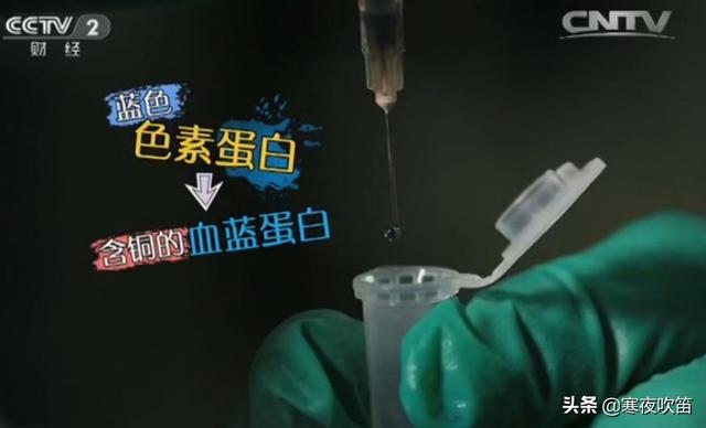 40个科学常识，你一定会喜欢768 / 作者:陈国帆spp / 帖子ID:101928