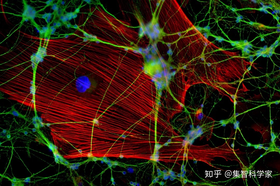 生命是怎样涌现的：系统生物学入门全路径161 / 作者:lee382 / 帖子ID:102192