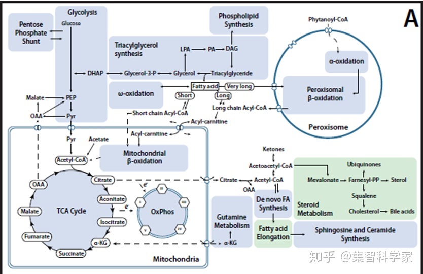 生命是怎样涌现的：系统生物学入门全路径160 / 作者:lee382 / 帖子ID:102192