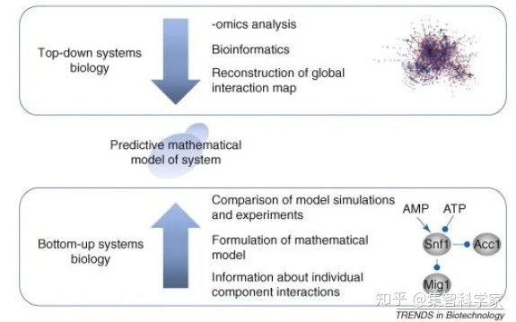 生命是怎样涌现的：系统生物学入门全路径148 / 作者:lee382 / 帖子ID:102192