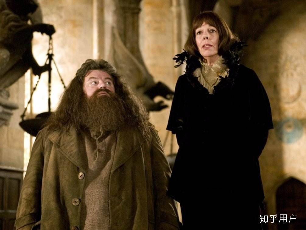 哈利波特中有哪些你相信但是没有或不能在书中明写的...咳咳 ...0 / 作者:123457684 / 帖子ID:102319