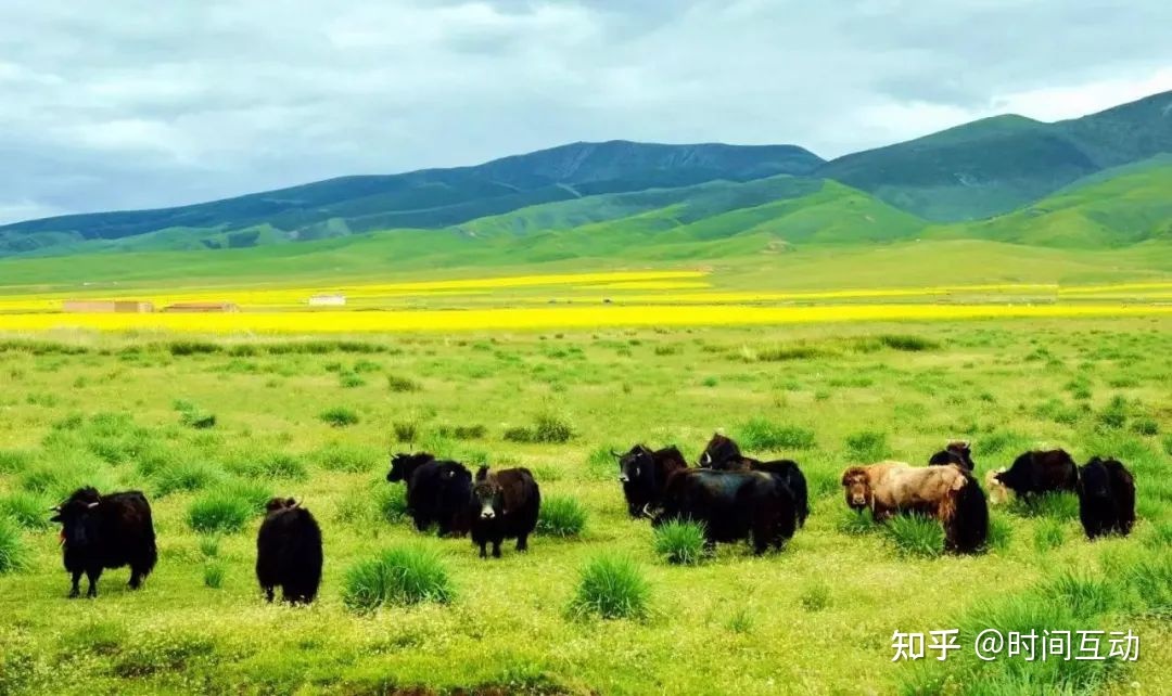 关于青海，你不知道的这29个世界之最，他不仅是“亚洲水塔 ...306 / 作者:天蝎孤星等 / 帖子ID:102363