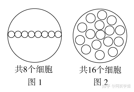 高中生物学必修一：显微镜的结构和使用105 / 作者:阳光469 / 帖子ID:102425