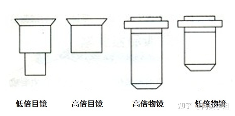高中生物学必修一：显微镜的结构和使用912 / 作者:阳光469 / 帖子ID:102425