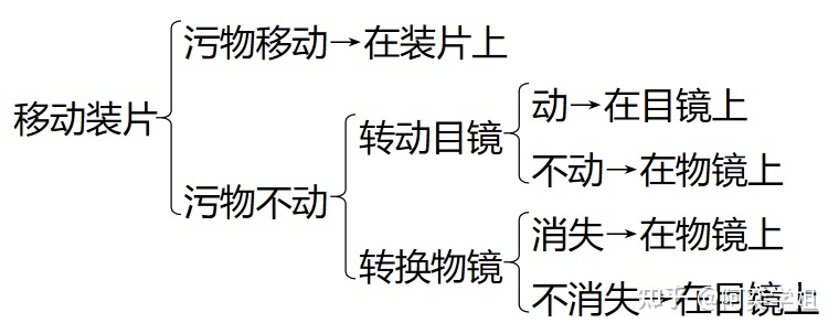 高中生物学必修一：显微镜的结构和使用134 / 作者:阳光469 / 帖子ID:102425