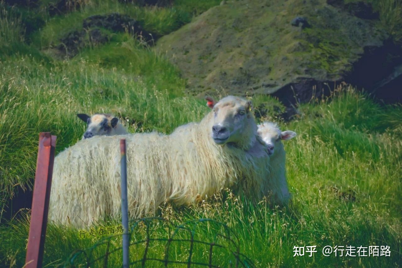 最孤独的房子：300年前突然出现，建造者是谁至今未知224 / 作者:划翔的青鸟纲 / 帖子ID:102576
