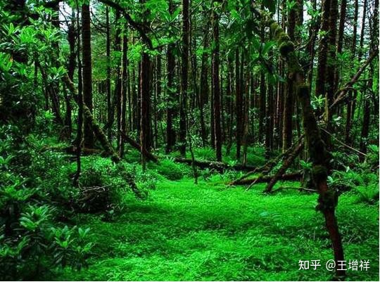 中国最美的100个地方——雅鲁藏布大峡谷（20）792 / 作者:安全到达彼岸依 / 帖子ID:103139