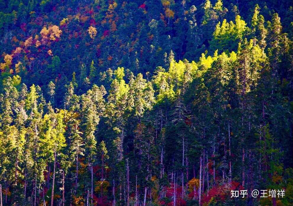 中国最美的100个地方——雅鲁藏布大峡谷（20）989 / 作者:安全到达彼岸依 / 帖子ID:103139