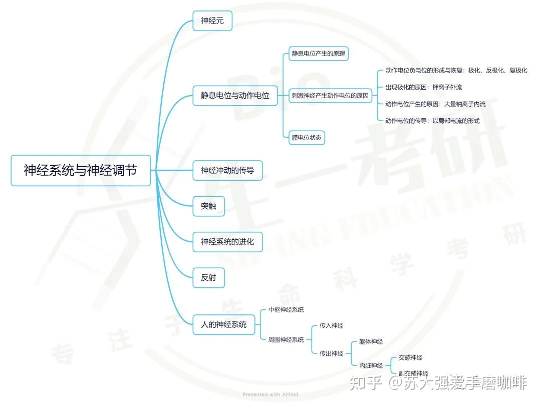 普通生物学思维导图-神经系统与神经调节996 / 作者:哲911 / 帖子ID:103196