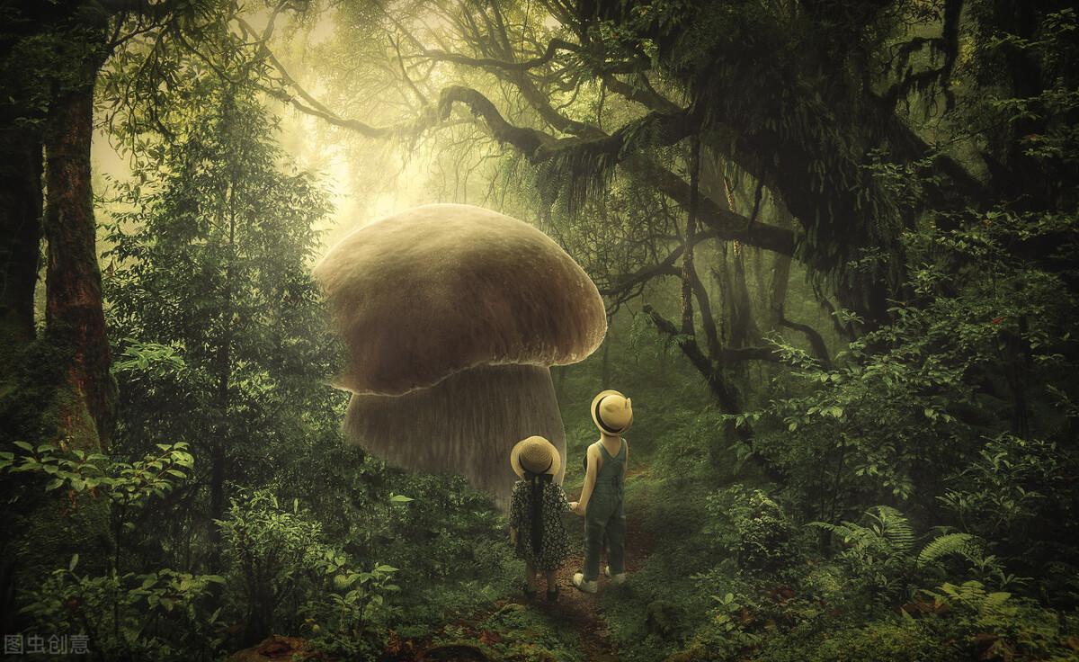 世界上最大的生物是什么？180吨重的蓝鲸根本排不上号！594 / 作者:想做的都做了吗 / 帖子ID:103206
