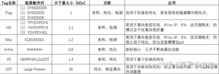 神经生物学科研常用病毒部件解析934 / 作者:Besson / 帖子ID:103267