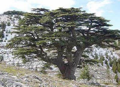 追恒久香气，观千年斑斓-3.jpg