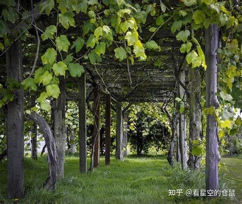 追恒久香气，观千年斑斓-8.jpg