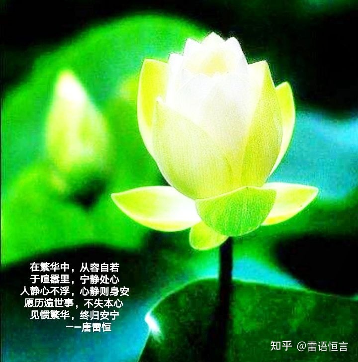 人从一无所有到这个世界，再到两手空空的离开，图啥？539 / 作者:无奈的剑侠站 / 帖子ID:103537