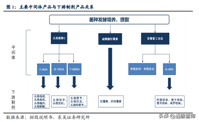 传统业务加速恢复，川宁生物：领跑合成生物学赛道，未来高增长858 / 作者:何幕之之rl / 帖子ID:103703