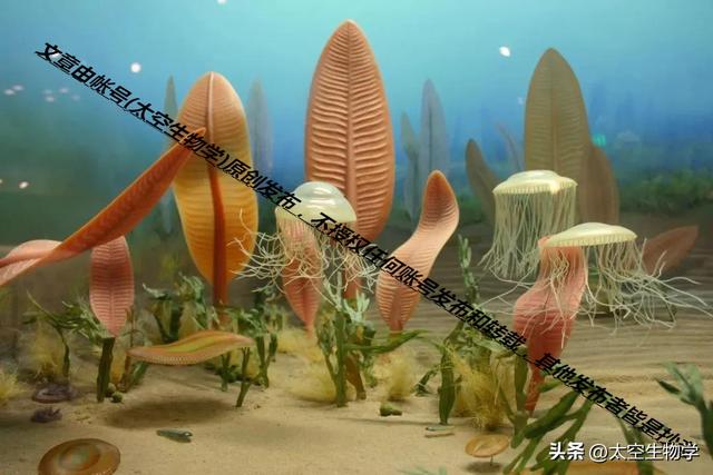 埃迪卡拉纪——生物种群与物种大灭绝301 / 作者:方的豆豆 / 帖子ID:103706