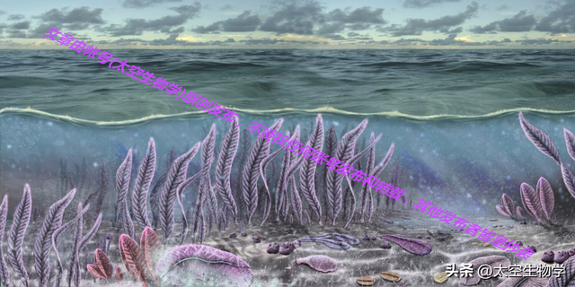 埃迪卡拉纪——生物种群与物种大灭绝373 / 作者:方的豆豆 / 帖子ID:103706