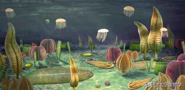 埃迪卡拉纪——生物种群与物种大灭绝12 / 作者:方的豆豆 / 帖子ID:103706