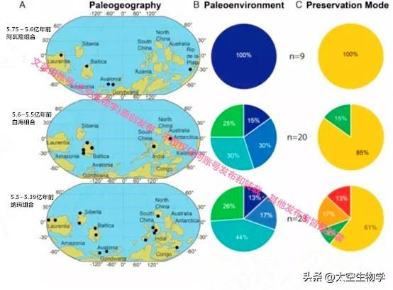 埃迪卡拉纪——生物种群与物种大灭绝768 / 作者:方的豆豆 / 帖子ID:103706