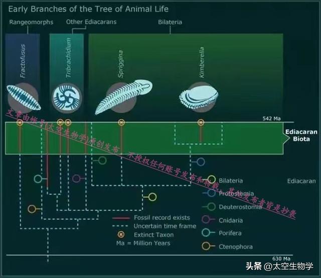 埃迪卡拉纪——生物种群与物种大灭绝497 / 作者:方的豆豆 / 帖子ID:103706