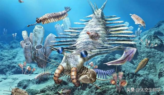 埃迪卡拉纪——生物种群与物种大灭绝875 / 作者:方的豆豆 / 帖子ID:103706