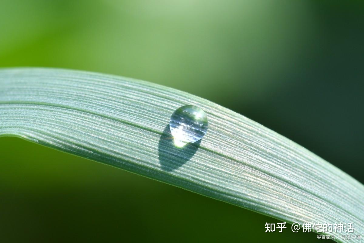 宇宙中最小的物质—夸克的江湖875 / 作者:消敢市音 / 帖子ID:103857
