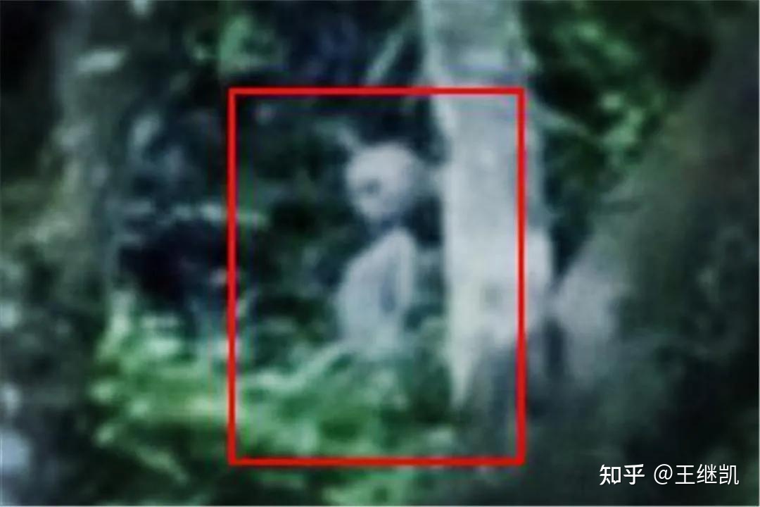 巴西亚马逊外星人事件214 / 作者:丽颜美容院郧 / 帖子ID:104011