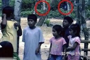 巴西亚马逊外星人事件367 / 作者:丽颜美容院郧 / 帖子ID:104011