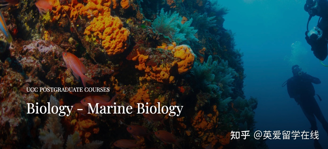 爱尔兰科克大学UCC理工学部硕士专业：海洋生物学， 为 ...767 / 作者:数脚趾头耍媳 / 帖子ID:104016