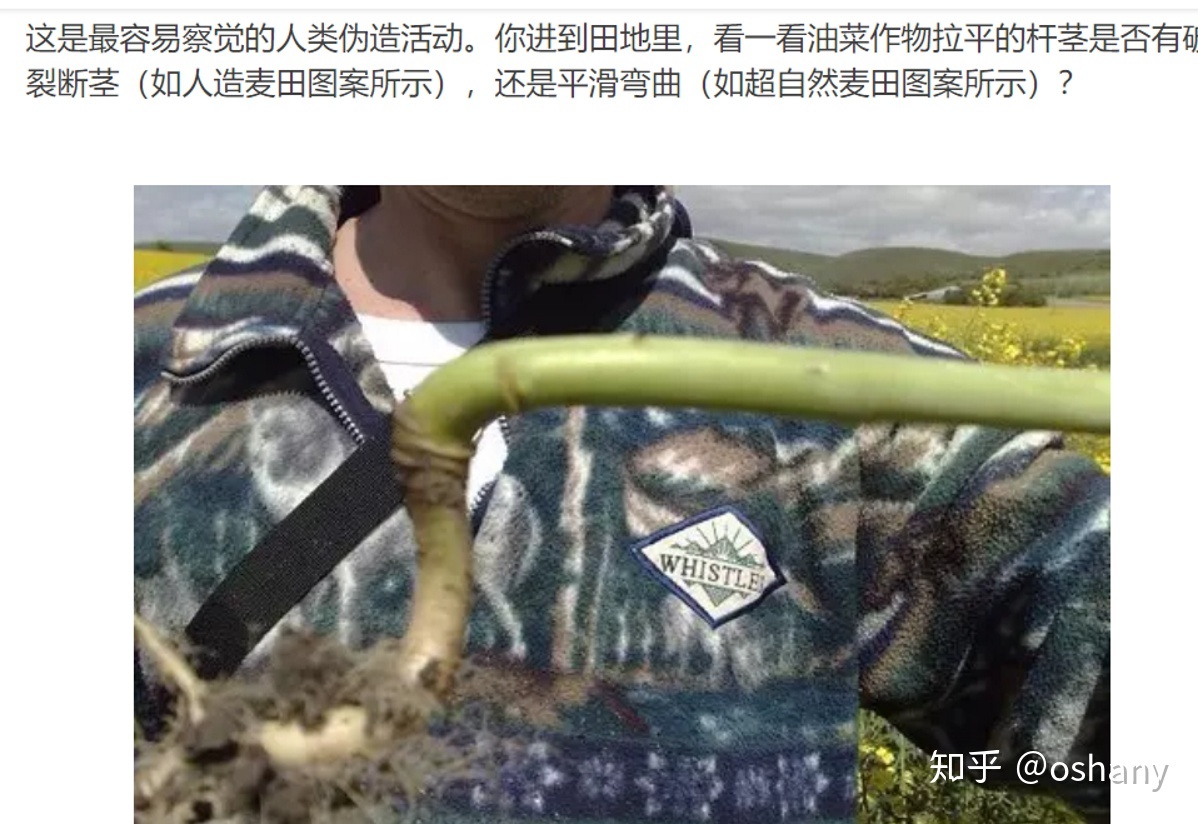 神秘事件：关于麦田怪圈的思考和分析396 / 作者:北京愤怒羔羊猩 / 帖子ID:104121