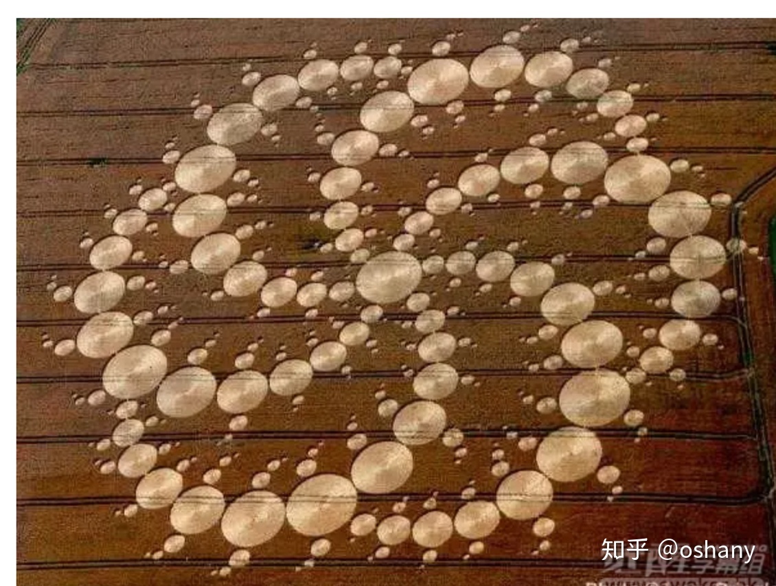 神秘事件：关于麦田怪圈的思考和分析355 / 作者:北京愤怒羔羊猩 / 帖子ID:104121