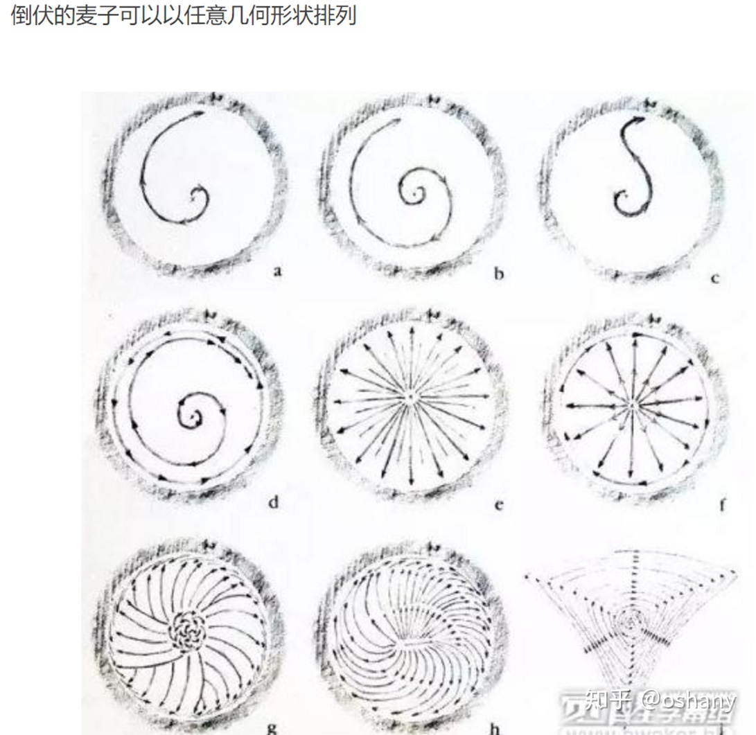 神秘事件：关于麦田怪圈的思考和分析890 / 作者:北京愤怒羔羊猩 / 帖子ID:104121