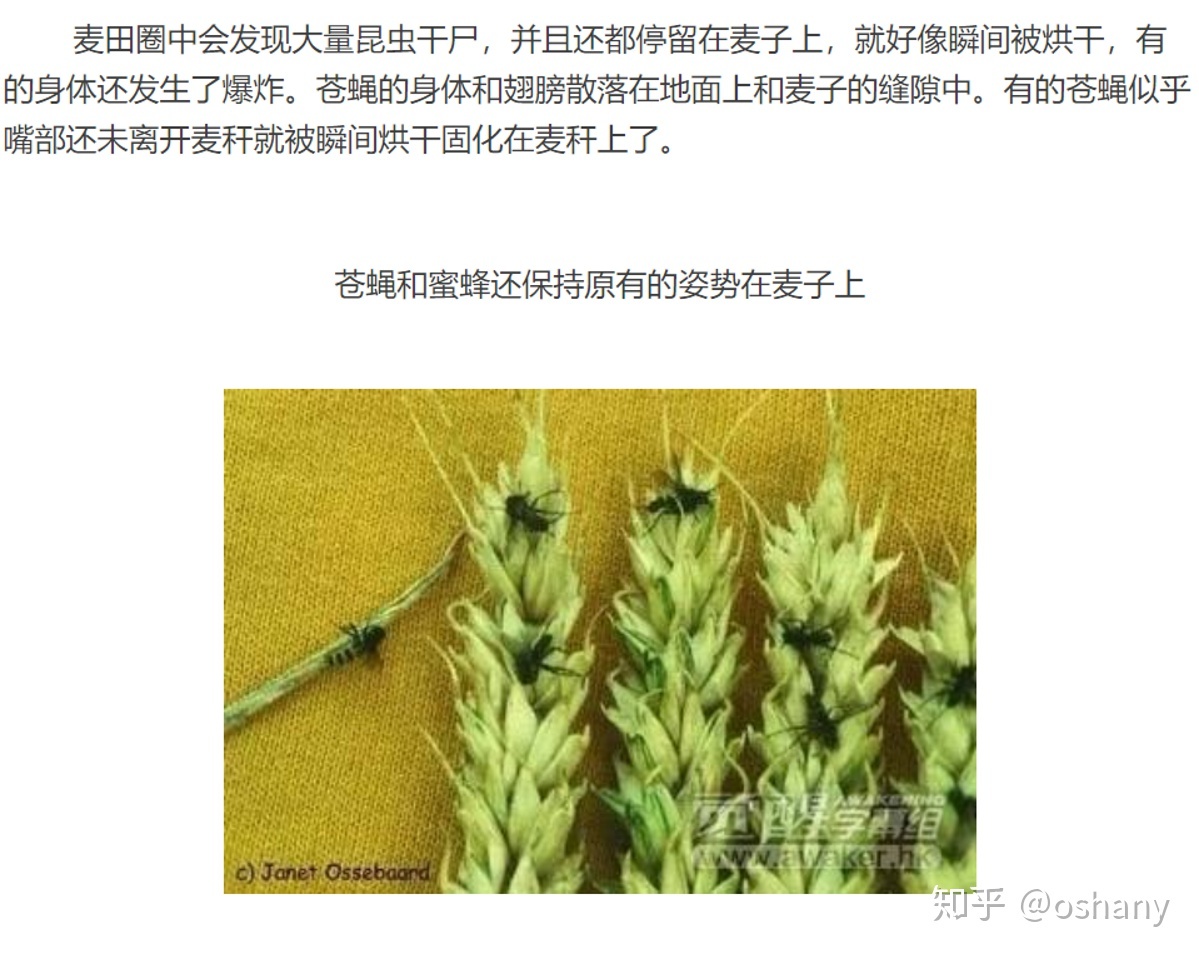 神秘事件：关于麦田怪圈的思考和分析203 / 作者:北京愤怒羔羊猩 / 帖子ID:104121