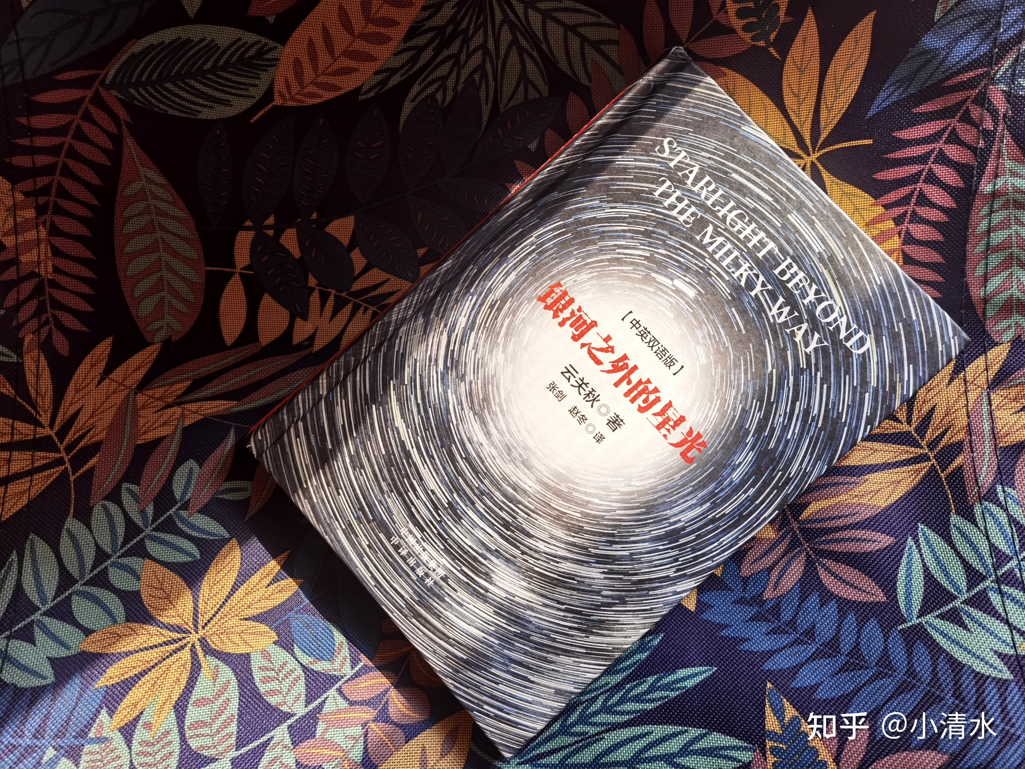 《银河之外的星光》：只有群星，才是我的远方884 / 作者:NYB冬冬 / 帖子ID:104151