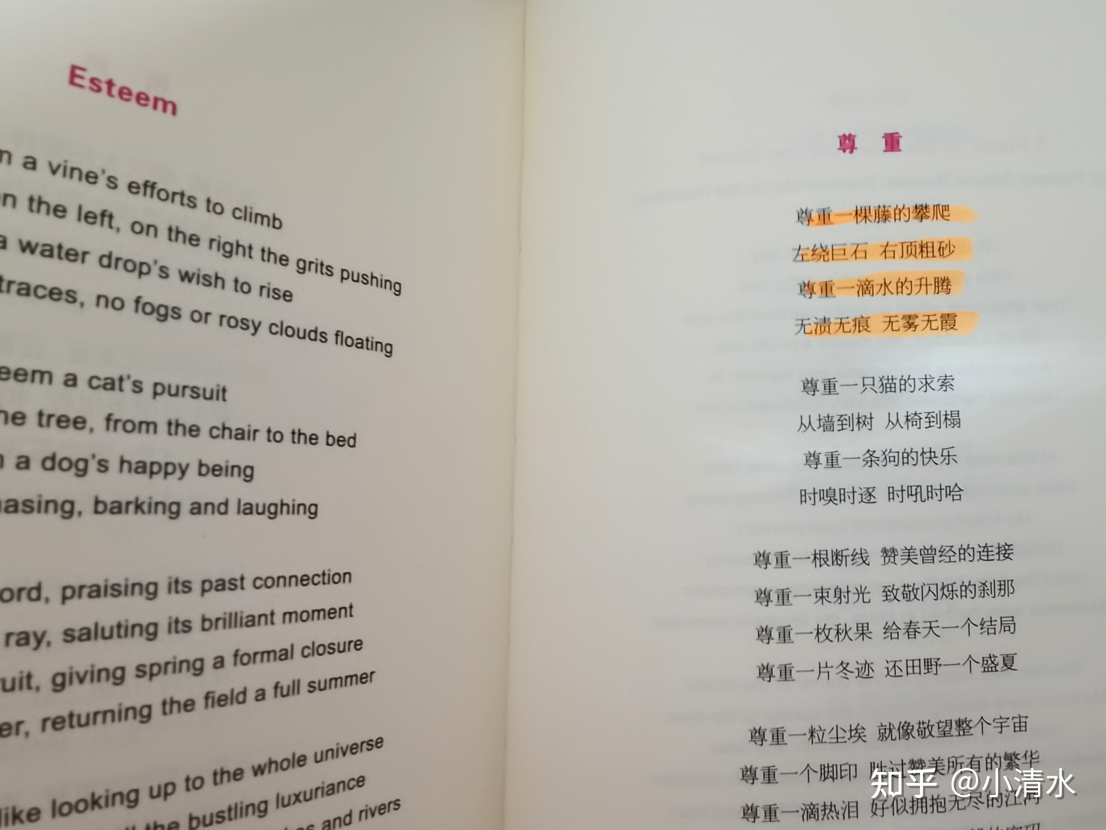 《银河之外的星光》：只有群星，才是我的远方793 / 作者:NYB冬冬 / 帖子ID:104151