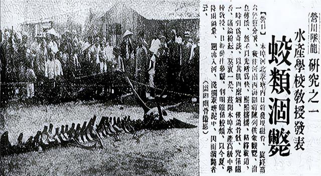 发生在中国的几大神秘事件，直到如今都找不出答案133 / 作者:刘可563 / 帖子ID:104390