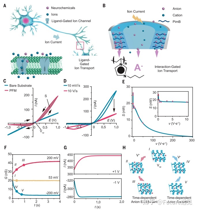 最新！中国科学院和东北大学连发3篇Science673 / 作者:123457846 / 帖子ID:104515