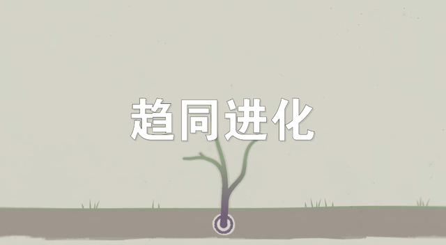 外星人可能长什么样？一种奇异进化现象，让我们一步一步接近真相235 / 作者:老跃1 / 帖子ID:104679