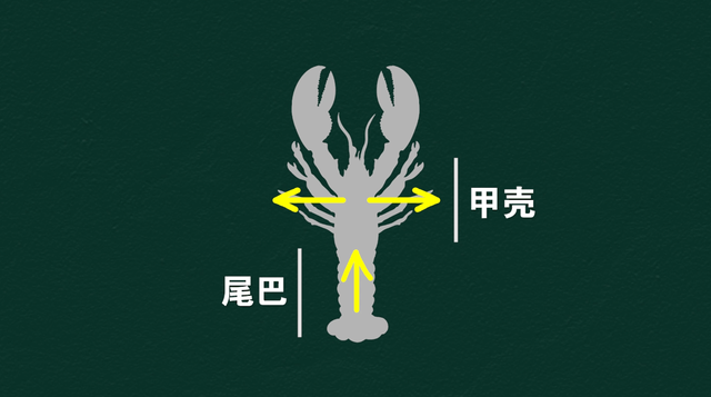 外星人可能长什么样？一种奇异进化现象，让我们一步一步接近真相266 / 作者:老跃1 / 帖子ID:104679