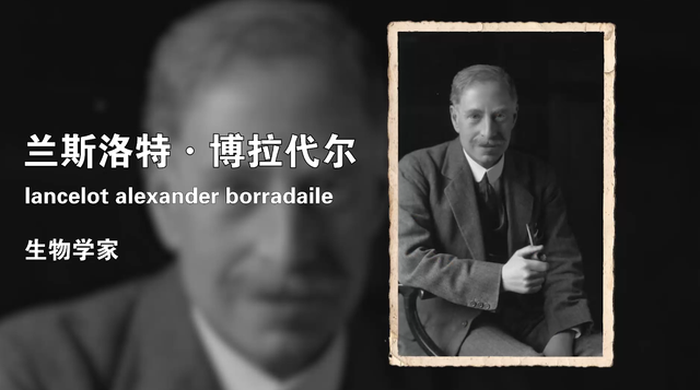 外星人可能长什么样？一种奇异进化现象，让我们一步一步接近真相661 / 作者:老跃1 / 帖子ID:104679