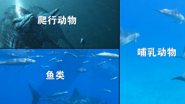 外星人可能长什么样？一种奇异进化现象，让我们一步一步接近真相829 / 作者:老跃1 / 帖子ID:104679