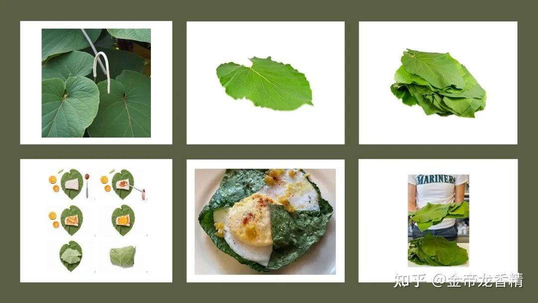 世界地理香料索引(8)—World Geographic Spice Indexd63 / 作者:veronica六 / 帖子ID:104911