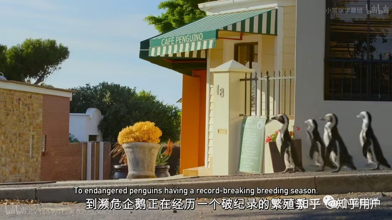 地球改变之年：每一帧都能当壁纸用的环保类纪录片992 / 作者:DJ牧南 / 帖子ID:105060