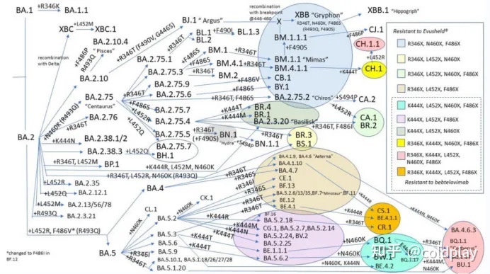 科学界有哪些难以置信的照片？516 / 作者:爱无声爱留痕列 / 帖子ID:105232
