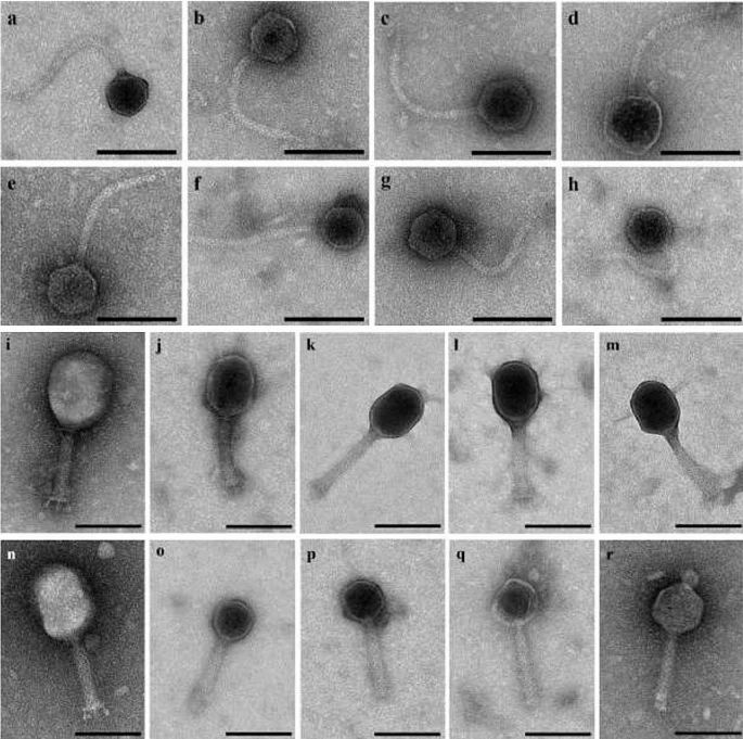 科学界有哪些难以置信的照片？494 / 作者:老郑36 / 帖子ID:105232